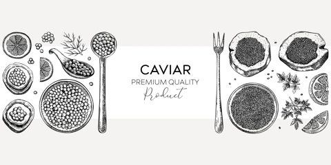 Seafood background design with red caviar canape, canned black caviar, lemons and spices in sketched style. Sea delicacy illustrations set for restaurant or finger food menu